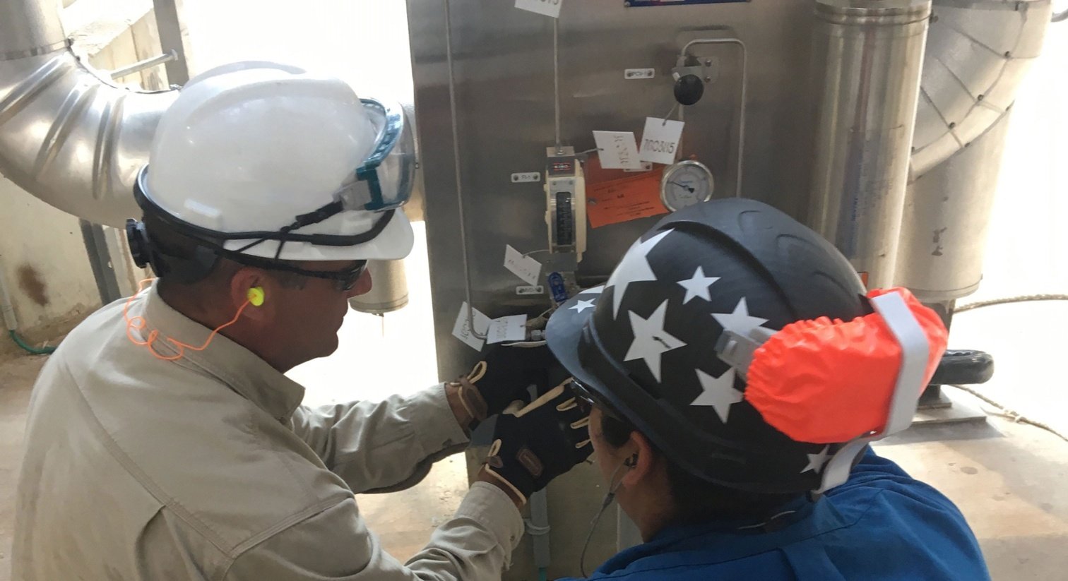 Lifecycle Services Inspection